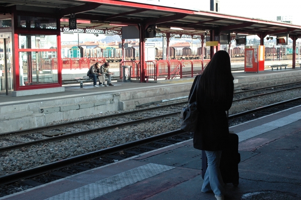 Grèves aucun train entre Lyon et Saint Etienne après 19h30 TL7