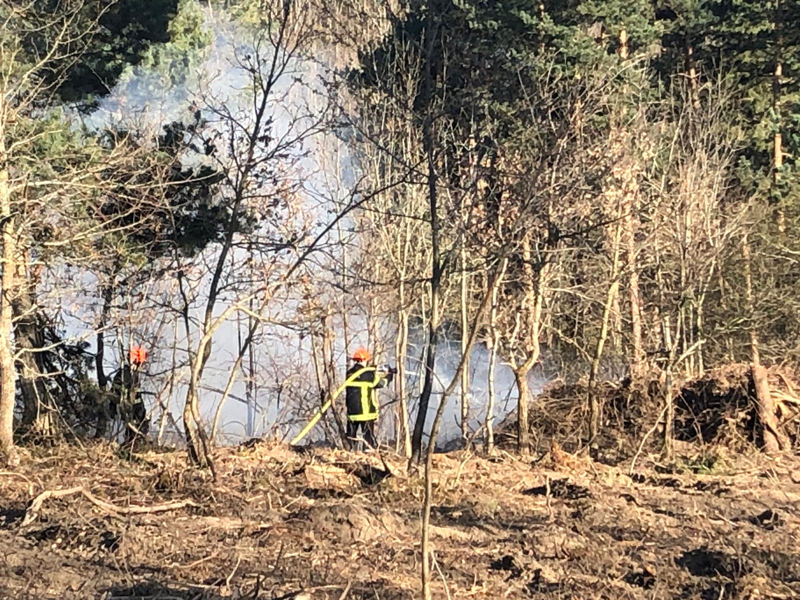 Feu de broussailles dans le Forez TL7 Télévision loire 7