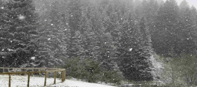 La neige recouvre les plaines du Bessat