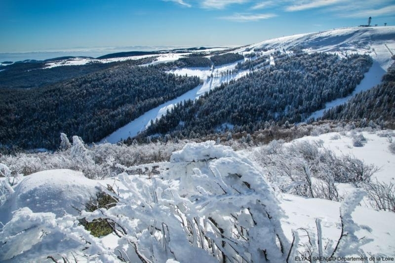 De la neige pour Noël dans la Loire TL7 Télévision loire 7