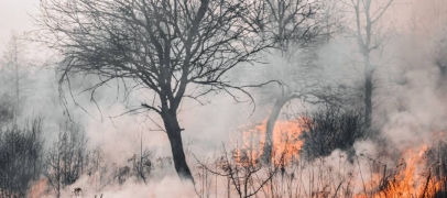 Un important feu de forêt en cours dans la Loire : évitez le secteur