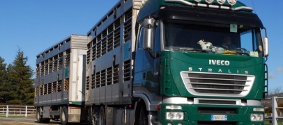 Une bétaillère se renverse avec 39 bovins à bord, la RD 482 coupée à Vougy