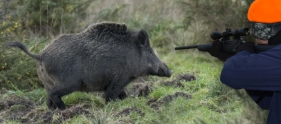 Chasseur tué à Bussy-Albieux : le tireur est un homme de 72 ans